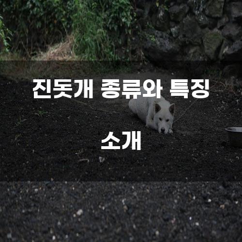 진돗개 종류와 특징 소개