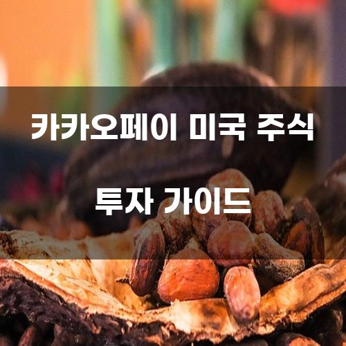 카카오페이 미국 주식 투자 가이드