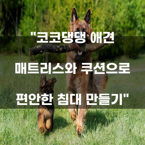코코댕댕 애견 매트리스와 쿠션으로 편안한 침대 만들기