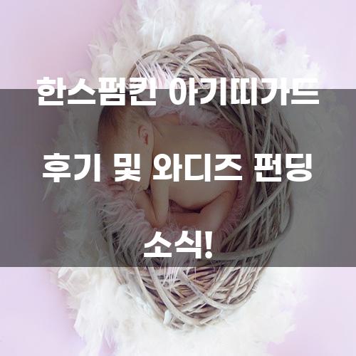 한스펌킨 아기띠가드 후기 및 와디즈 펀딩 소식!