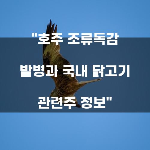 호주 조류독감 발병과 국내 닭고기 관련주 정보