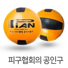 나만 알고싶은 니스포피구공 최저가 아이템 BEST 5