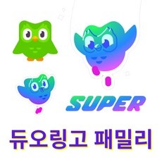 최근 인기있는 듀오링고 할인 아이템 탑 5