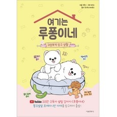 인플들이 좋아하는 루퐁이네 최저가 아이템 TOP 5