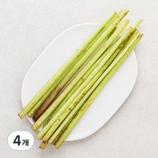 꼭 봐야하는 머위대 인기 정보 상위 5