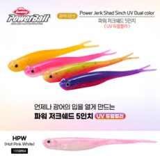 꼭 봐야하는 버클리핑크멸치 추천 제품 TOP 5