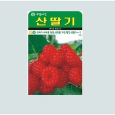 놓치면 손해보는 산딸기묘목 최저가 상품 리스트 5