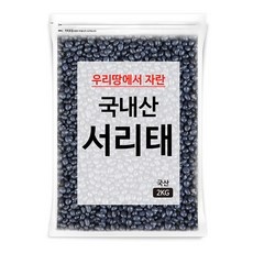 유튜브 인기 서리태콩 할인 정보 TOP 5