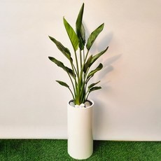요즘 필수인 서울초미세먼지 최저가 아이템 BEST 5