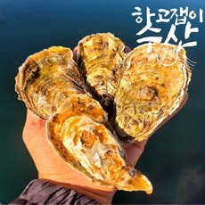 당신만 모르는 석화굴 추천 제품 탑 5