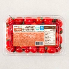 요즘 필수인 스테비아방울토마토 추천 아이템 리스트 5