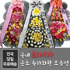 인플들이 좋아하는 엔화환율 할인 제품 TOP 5