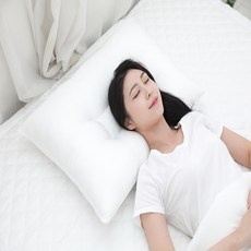 이걸 아직 안사? 예그리나베개 최저가 정보 탑 5