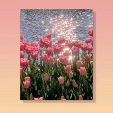 당신만 모르는 유화그리기세트 인기 제품 탑 5