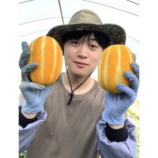 Must Have Item 참외효능 최저가 정보 탑 5