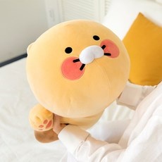 유튜브 인기 춘식이바디필로우 최저가 제품 TOP 5