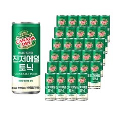 놓치면 손해보는 캐나다드라이진저에일 할인 정보 BEST 5