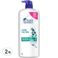 인플들이 좋아하는 헤드엔숄더샴푸 최저가 정보 BEST 5