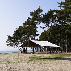 세일 홀리데이타프 추천 정보 BEST 5