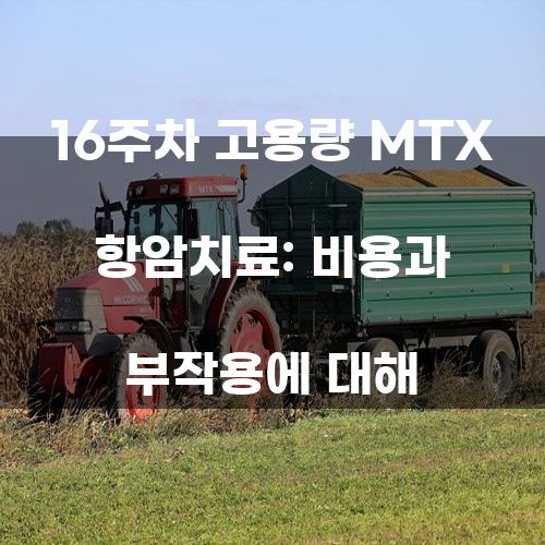 16주차 고용량 MTX 항암치료: 비용과 부작용에 대해