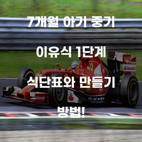 7개월 아기 중기 이유식 1단계 식단표와 만들기 방법!