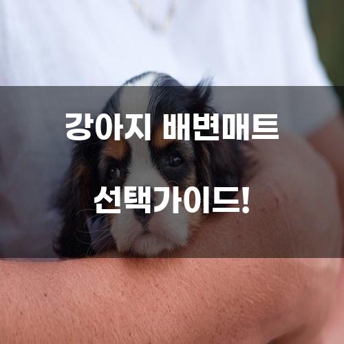 강아지 배변매트 선택가이드!