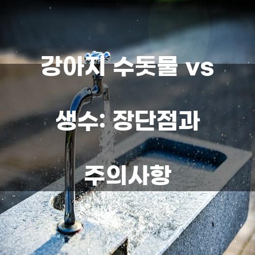 강아지 수돗물 vs 생수: 장단점과 주의사항