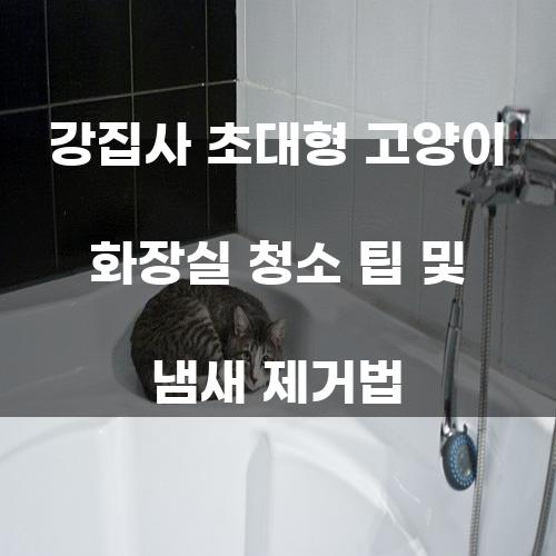 강집사 초대형 고양이 화장실 청소 팁 및 냄새 제거법
