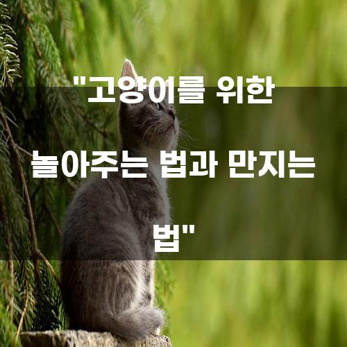 고양이를 위한 놀아주는 법과 만지는 법