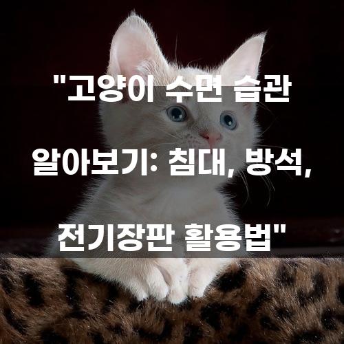 고양이 수면 습관 알아보기: 침대, 방석, 전기장판 활용법