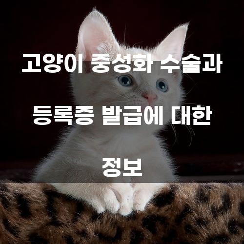 고양이 중성화 수술과 등록증 발급에 대한 정보