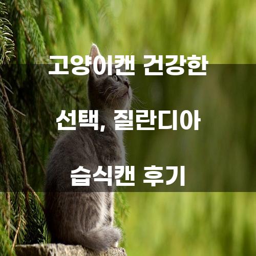 고양이캔 건강한 선택, 질란디아 습식캔 후기