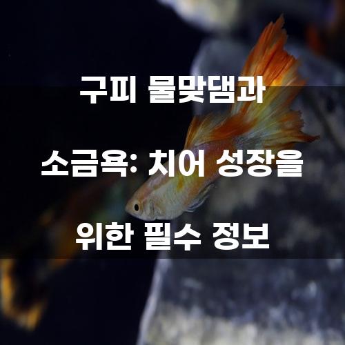 구피 물맞댐과 소금욕: 치어 성장을 위한 필수 정보