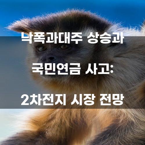 낙폭과대주 상승과 국민연금 사고: 2차전지 시장 전망
