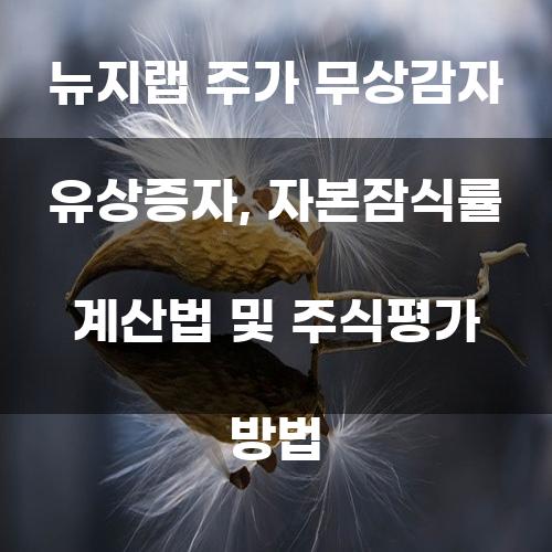 뉴지랩 주가 무상감자 유상증자, 자본잠식률 계산법 및 주식평가 방법