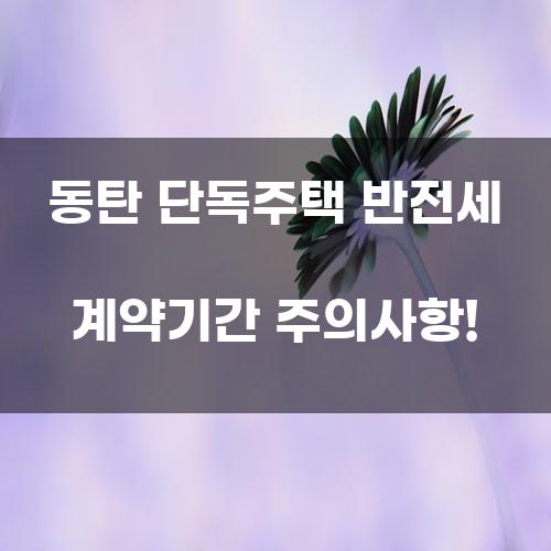 동탄 단독주택 반전세 계약기간 주의사항!
