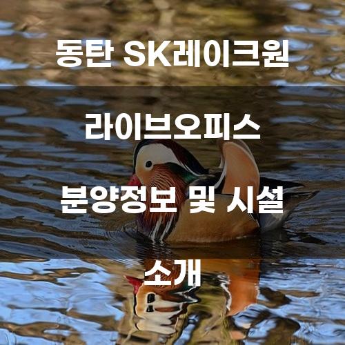 동탄 SK레이크원 라이브오피스 분양정보 및 시설 소개