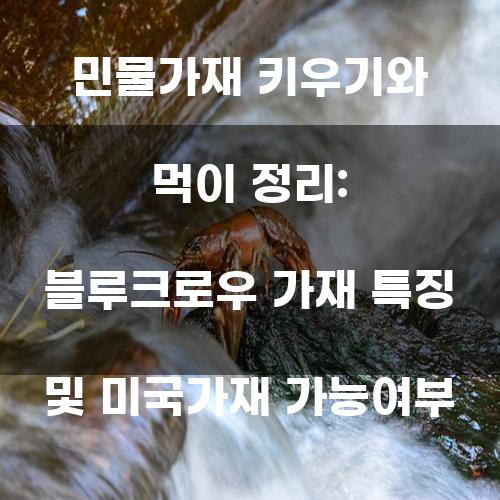 민물가재 키우기와 먹이 정리: 블루크로우 가재 특징 및 미국가재 가능여부