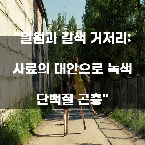 밀웜과 갈색 거저리: 사료의 대안으로 녹색 단백질 곤충