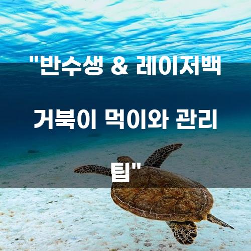 반수생 & 레이저백 거북이 먹이와 관리 팁