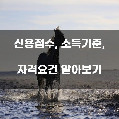신용점수, 소득기준, 자격요건 알아보기