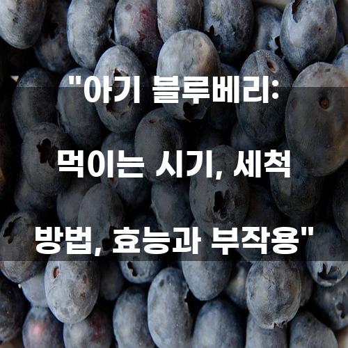 아기 블루베리: 먹이는 시기, 세척 방법, 효능과 부작용