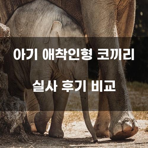 아기 애착인형 코끼리 실사 후기 비교