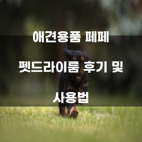 애견용품 페페 펫드라이룸 후기 및 사용법