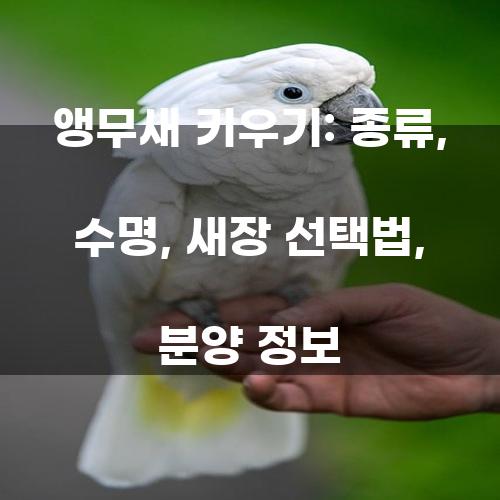 앵무새 키우기: 종류, 수명, 새장 선택법, 분양 정보