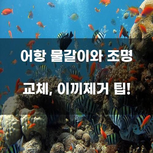 어항 물갈이와 조명 교체, 이끼제거 팁!