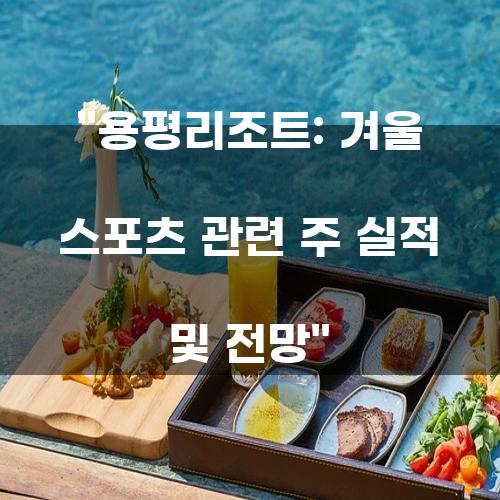 용평리조트: 겨울 스포츠 관련 주 실적 및 전망