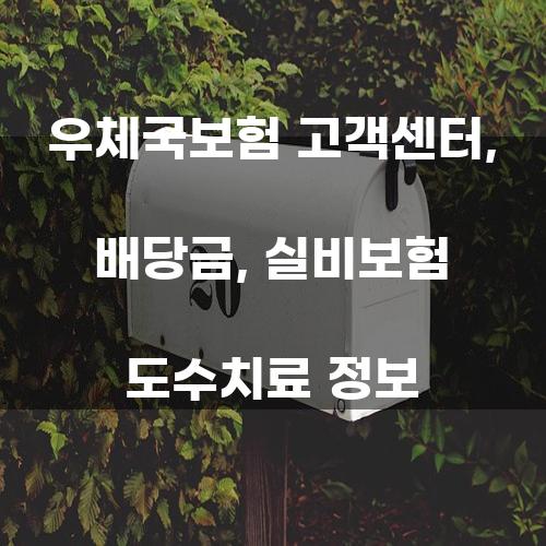 우체국보험 고객센터