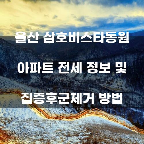 울산 삼호비스타동원 아파트 전세 정보 및 집증후군제거 방법