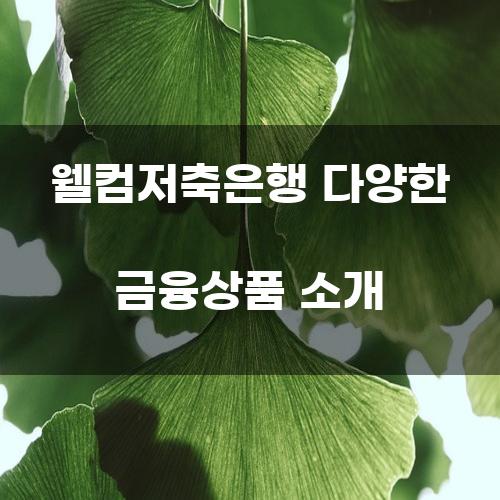 웰컴저축은행 다양한 금융상품 소개